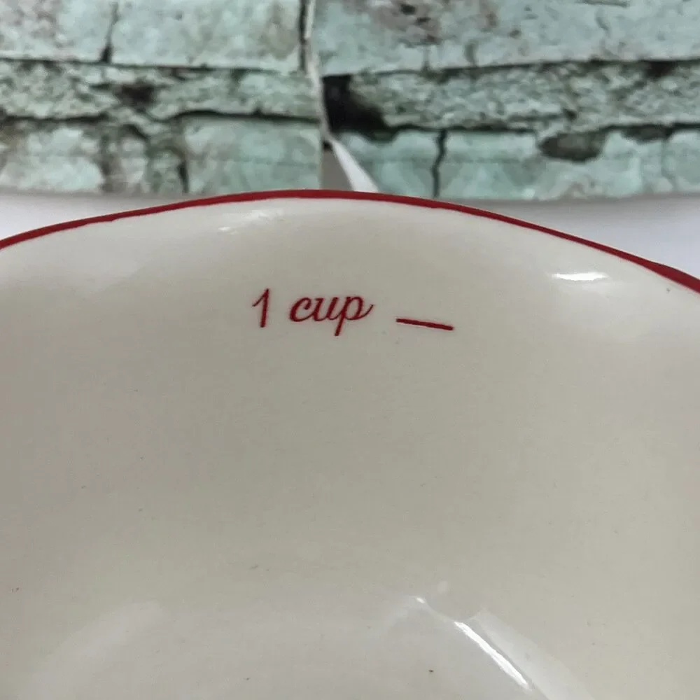 Pioneer Woman SWEET ROMANCE 1 Cup Measuring REPLACEMENT Red Rim Blue Gingham